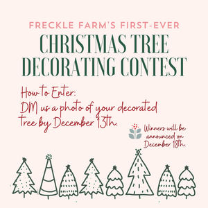 Christmas Tree Decorating Contest