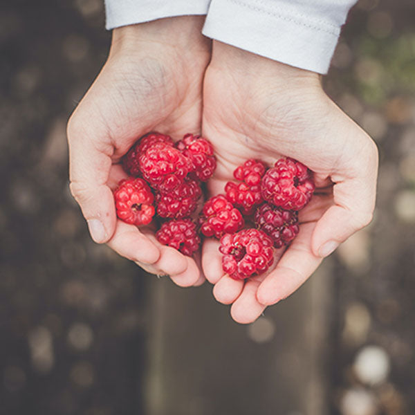 Bare Root Fruit and Veggies