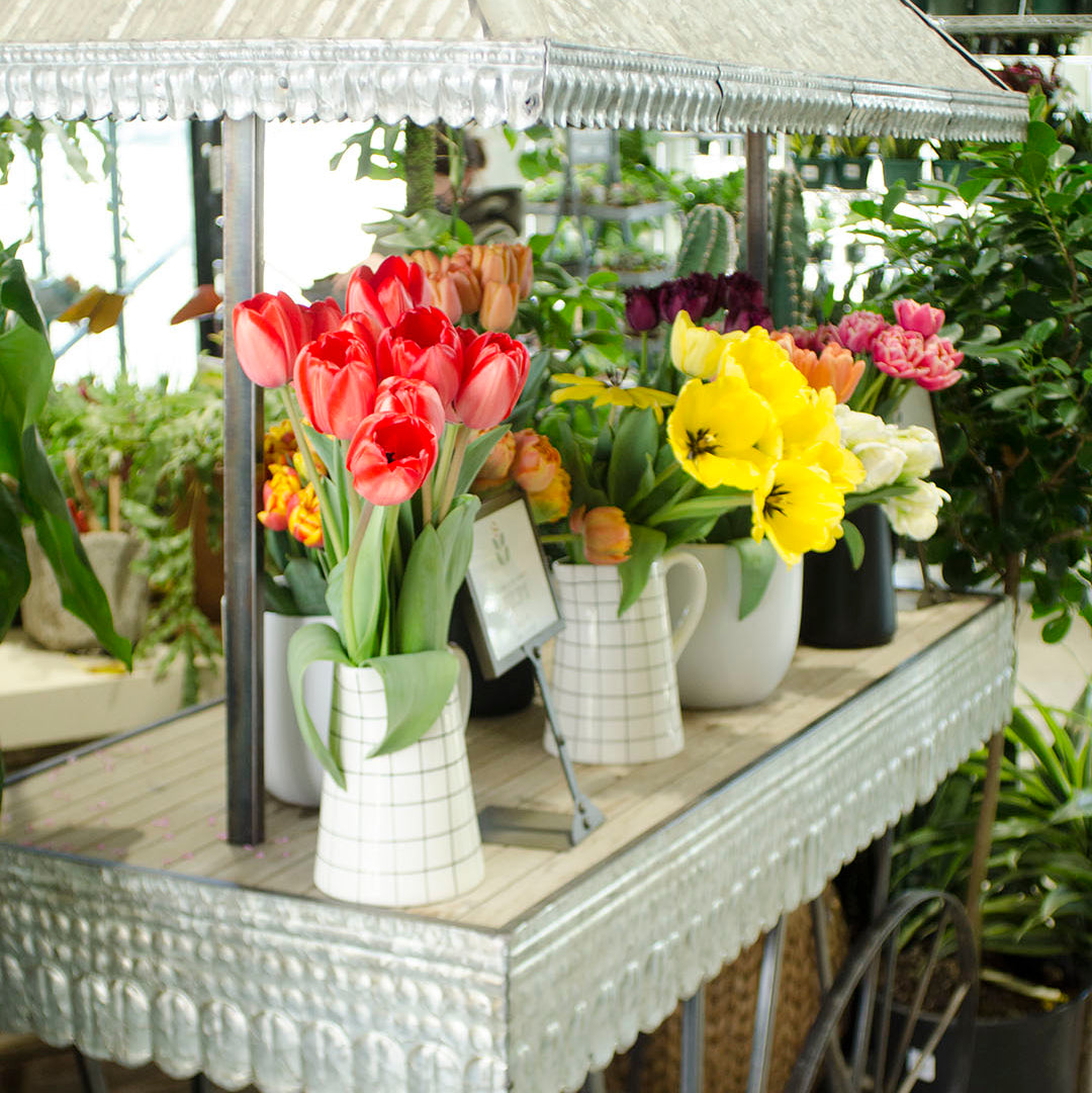 Gather in the Greenhouse