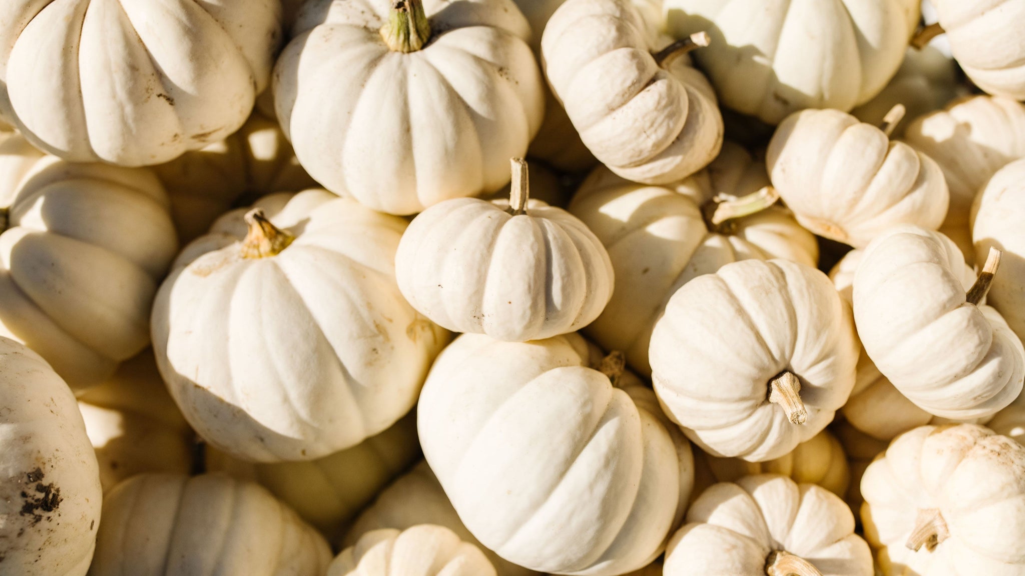Harvest Festival