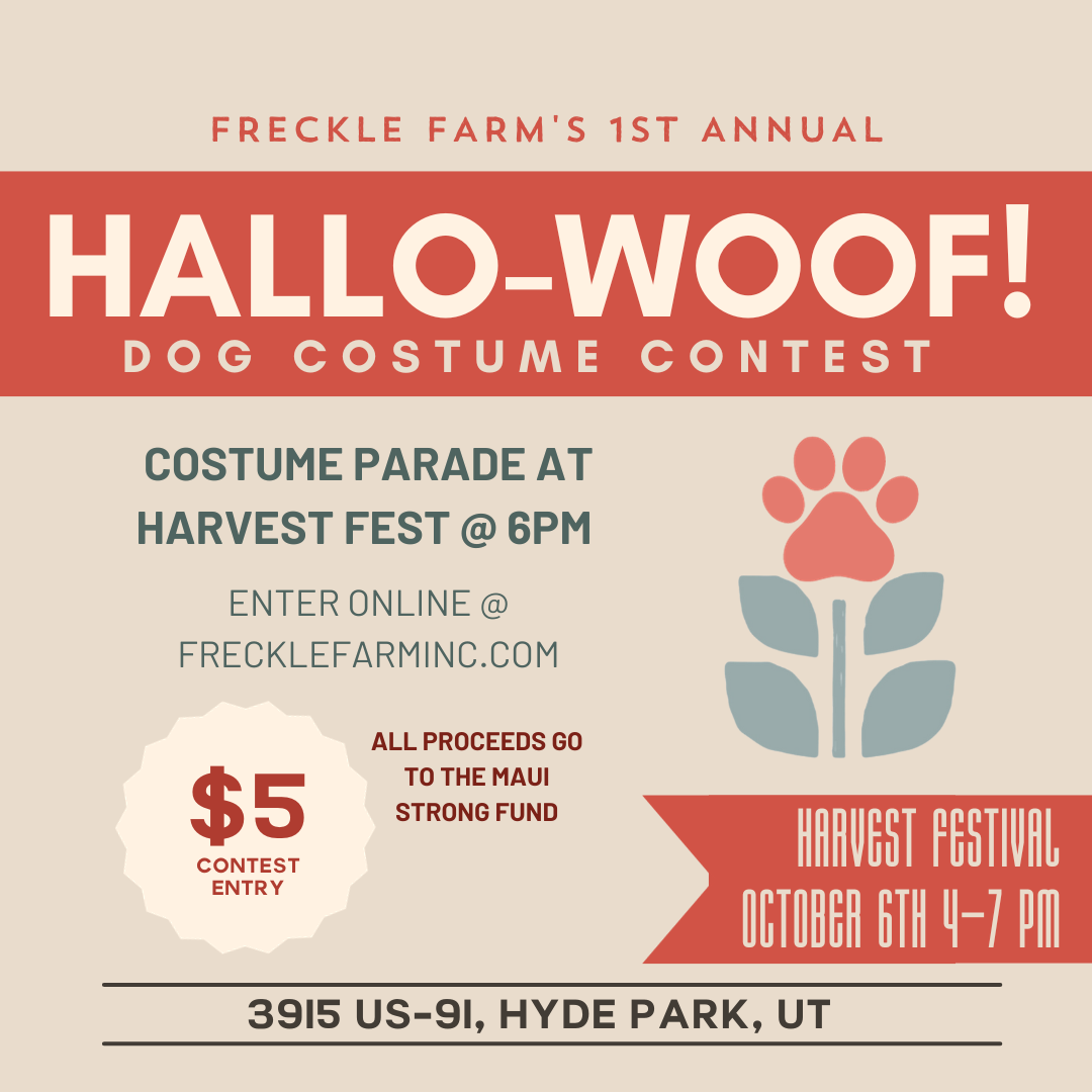 Hallo-Woof! Dog Costume Contest