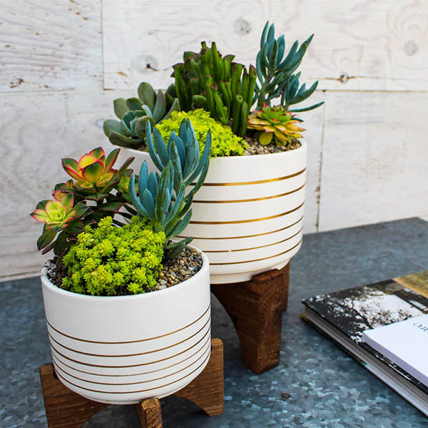 White & Gold Planter on Stand