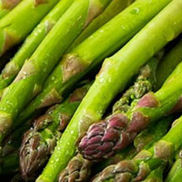 Asparagus-'Mary Washington'