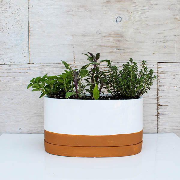 White Oval Planter with Terra Cotta Saucer - 10"