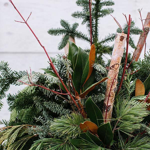 Evergreen Winter Containers